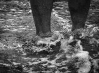 2024-08-23DSCF7926France - Bretagne - Dinard - Grande marée - Les pieds dans l'eau